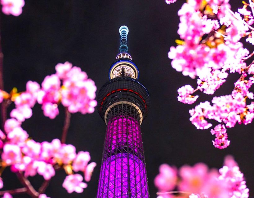 1 Day Tokyo Private Charter Sightseeing Tour With Guide - Common questions