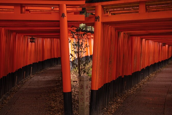 10 Must-See Spots in Kyoto One Day Private Tour (Up to 7 People) - Frequently Asked Questions