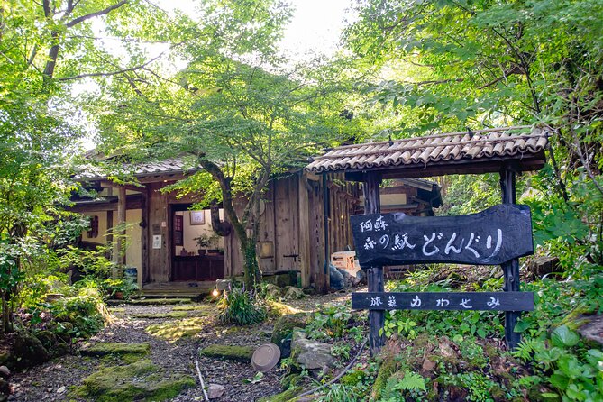 3-Day Experience to Feel the Nature of Aso - Meeting Point and Schedule