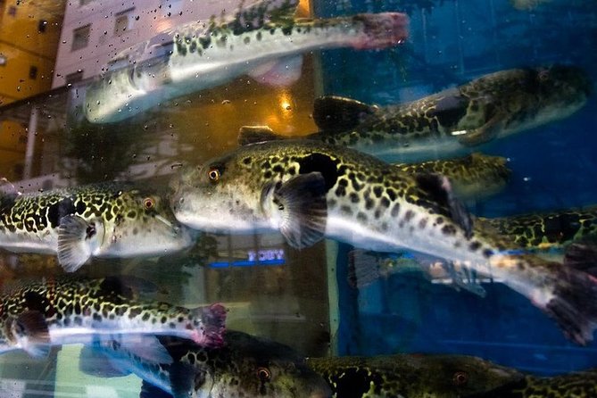 Adventurous Japanese Food Tour - Tour Experiences and Highlights