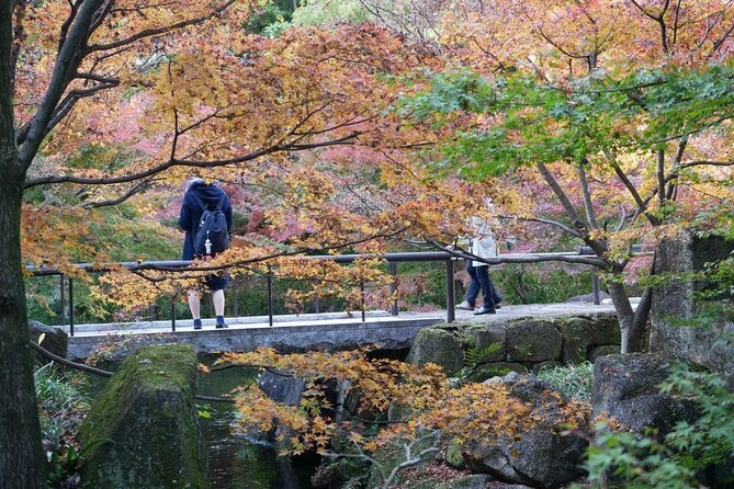 Autumn Leaves Private Tour in Nagoya - Conclusion