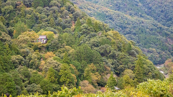 City Escape: Arashiyama Park Private Day Trip - Important Reminders