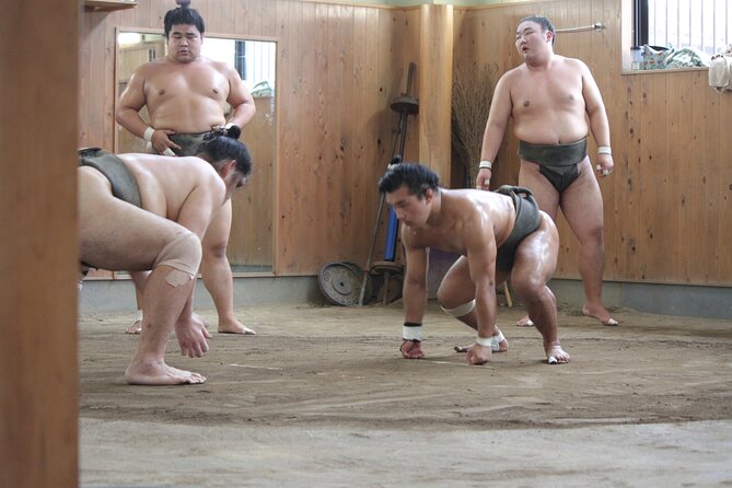 Experience the World of Sumo - Common questions