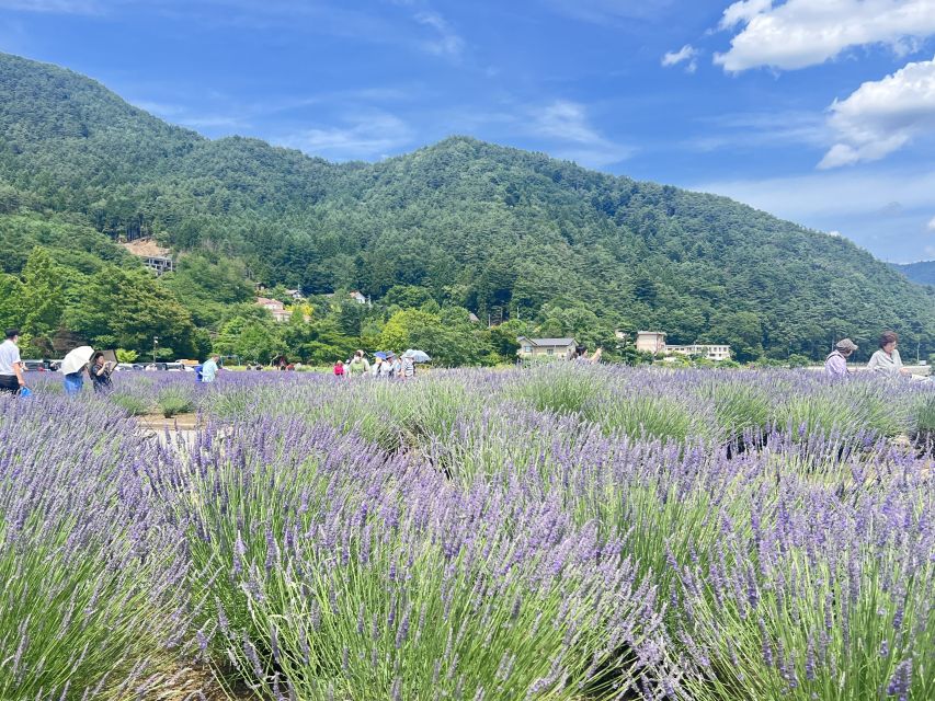 From Tokyo: Mount Fuji and Hakone Private Day Trip - Recommendations