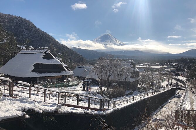 Full Day Mt.Fuji & Gotemba Premium To-And-From Tokyo, up to 12 - Tour Pricing and Options