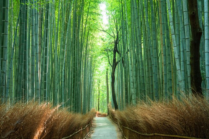 Full-Day Private Bamboo Grove and Golden Temple in Kyoto Tour - Tour Guide Information