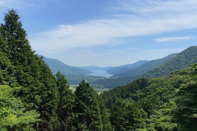 Hakone Old Tokaido Road and Volcano Half-Day Hiking Tour - Fitness Requirements