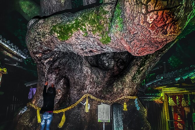 Hidden Gems of Osaka Kyoto Nara - Private Car Tour by Local Guide - Booking Details