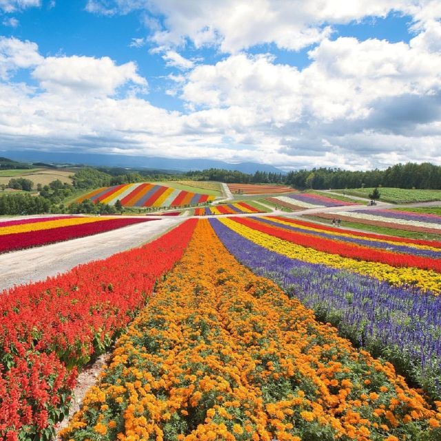 Hokkaido: Biei Blue Pond and Furano Flower Farm Day Trip - Frequently Asked Questions