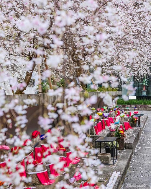 Kansai 10-Hour Chartered Day Trip|Kyoto - Customer Satisfaction and Reviews