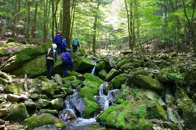 Kochi Private 3 Day Adventure With Accommodation - Ryu-ga-mine Waterfall Visit