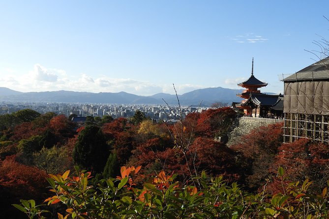 Kyoto Full Day (8 Hours) Sightseeing Privatetour - Tour Operator Information