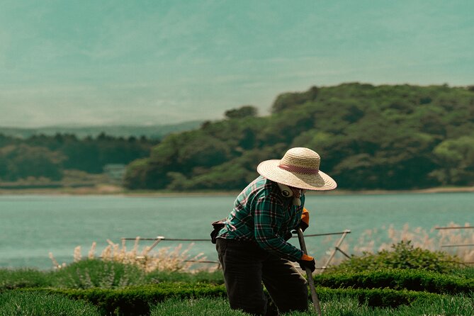 Mt Fuji, Hakone Private Tour by Car With Pickup - Reviews Overview