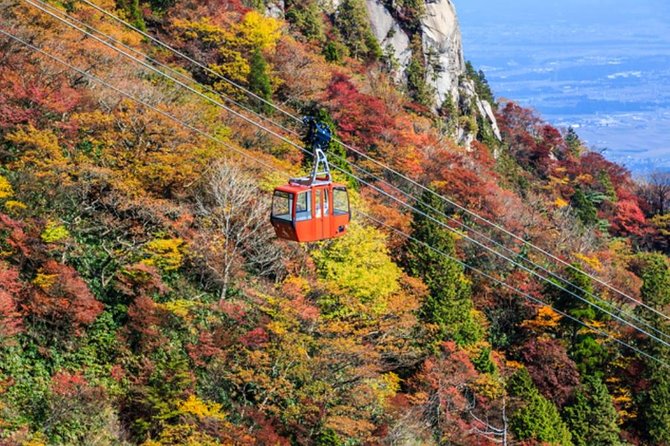 Mt. Gozaisho Ropeway,Nabana No Sato for Illumination and Begonia Garden! - Conclusion