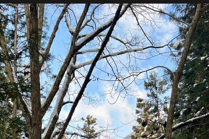 Nagano Full Day Tour Jigokudani Snow Monkey Park Zenkoji Temple - Booking and Contact Details