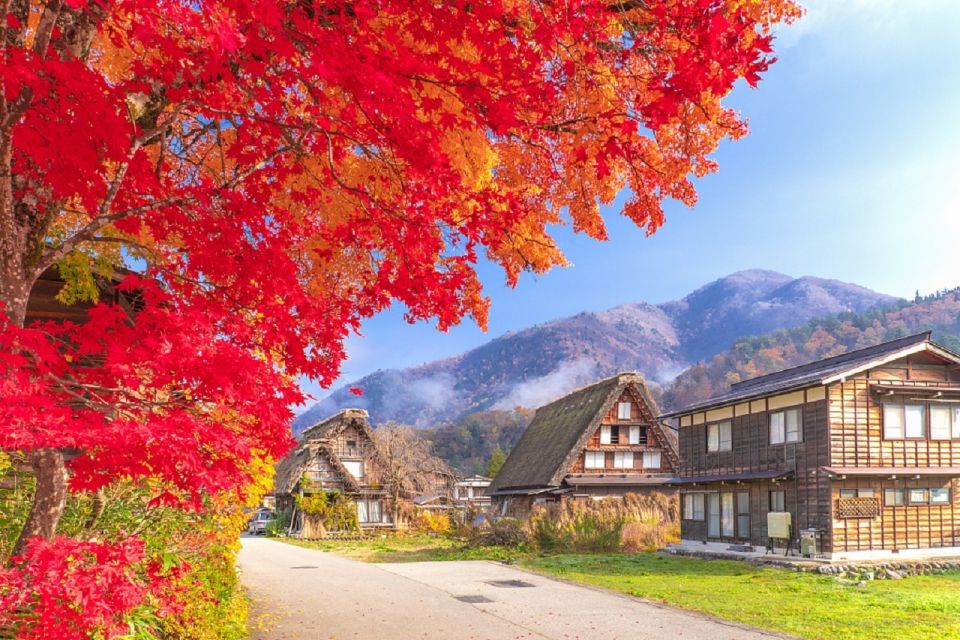 Nagoya: Shirakawa-go Village and Takayama UNESCO 1-Day Trip - Frequently Asked Questions