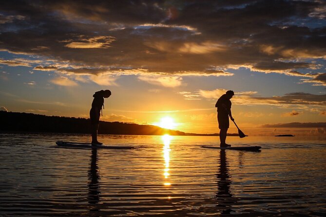[Okinawa Iriomote] Sunset SUP/Canoe Tour in Iriomote Island - Reviews