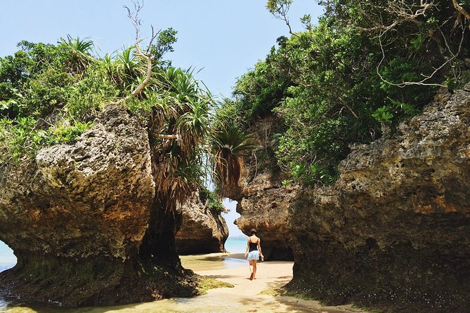 Okinawa Island Custom Part Day Tour - Customized Tour Options