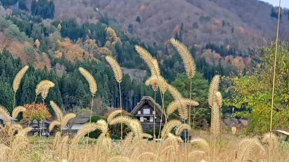 One Day Private Tour to Shirakawa-go & Takayama - Common questions