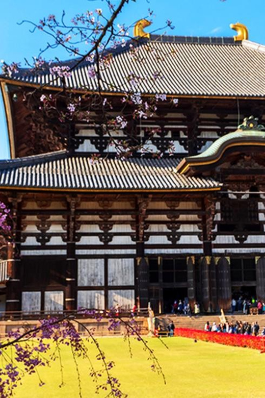 Osaka: Nara, Todaiji, Matcha Experience and Hot Spring Tour - Booking Information