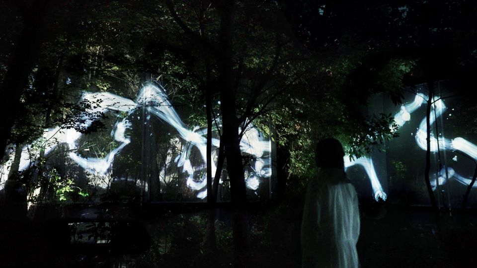 Osaka: Teamlab Botanical Garden Entry Ticket - Directions to Nagai Botanical Garden