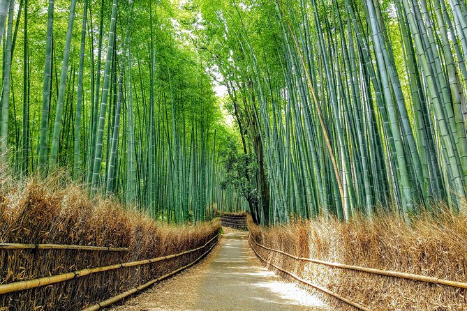 Private Arashiyama Walking Tour: Bamboo, Monkeys & Secrets - Operator Information
