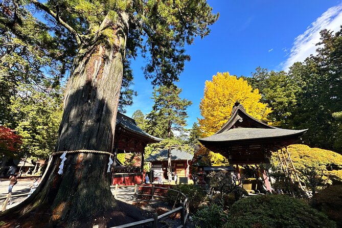 Private Sedan One-Day Mount Fuji Tour - Safety and Cancellation Policy