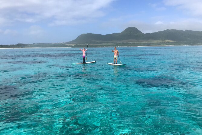 Private SUP Cruising Experience in Ishigaki Island - Accessibility Information