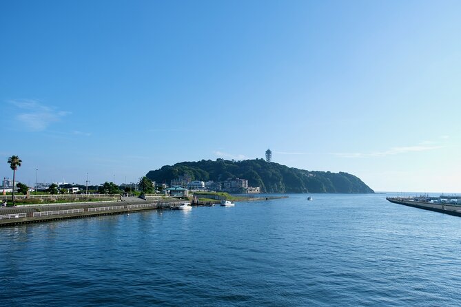 Private Tour in Slam Dunk Locations and Kamakura Sights - Confirmation Process