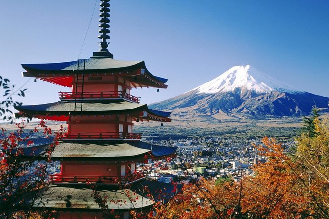 Private Transport Mt Fuji and Hakone 1 Day Trip - Common questions
