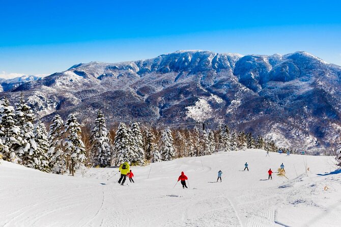 Snow Monkey, Zenko Ji Temple, Sake in Nagano Tour - Conclusion