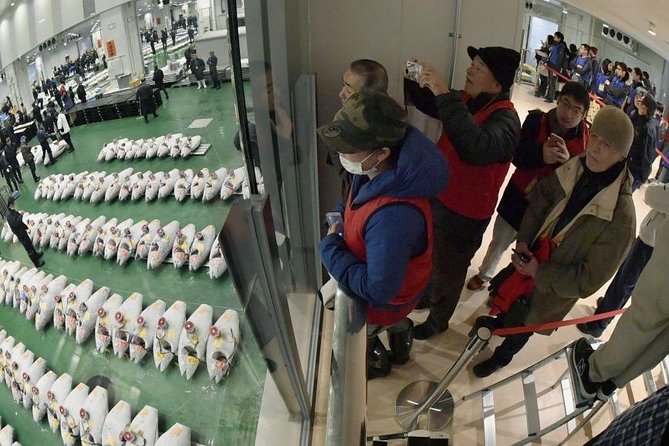 Tokyo Food & Culture 4hr Private Tour With Licensed Guide - Additional Information