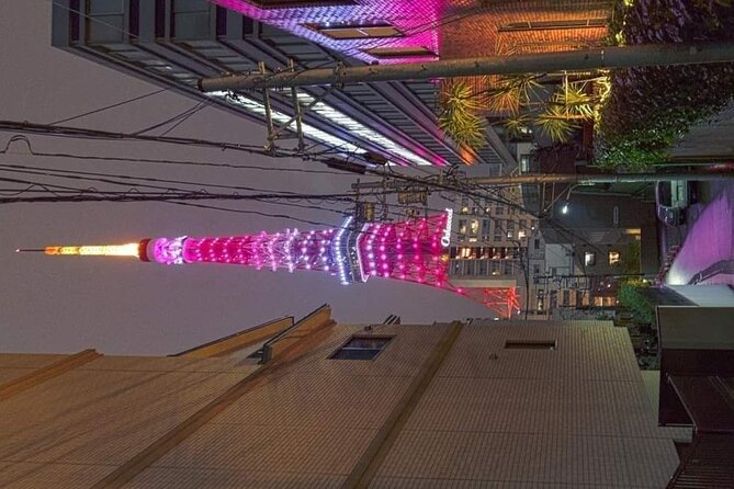 Tokyo Highlights Private Full-Day Car and Driver Service (Mar ) - Last Words