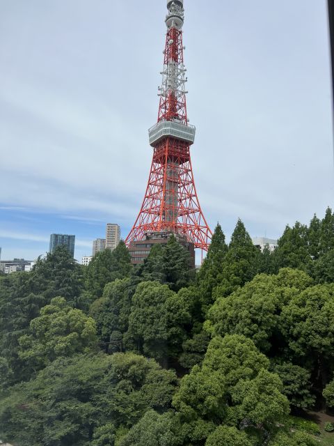 Tokyo Private Sightseeing Customizable Day Tour by Car & Van - Itinerary Highlights