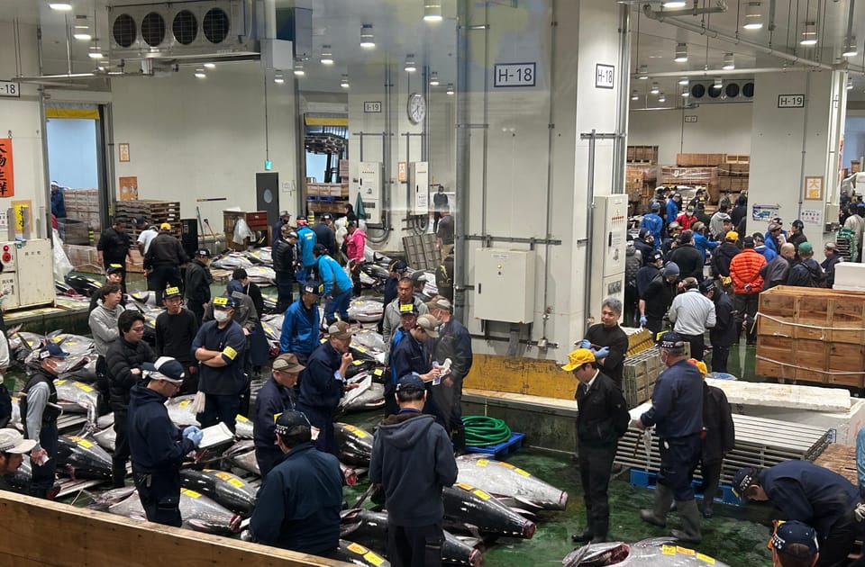 Toyosu Tuna Auction and Tsukiji Market by Gov Licensed Guide - Last Words