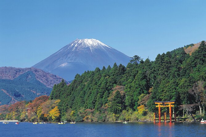 1 Day Private Tour in Mt.Fuji and Hakone English Speaking Driver - Last Words