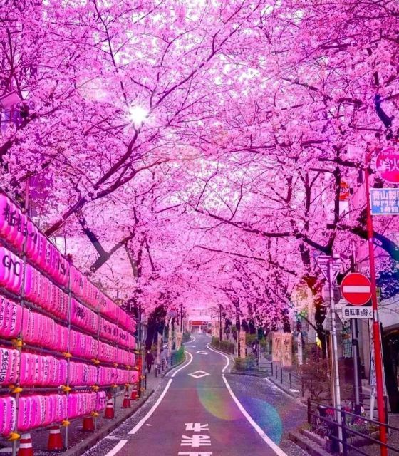 1 Day Tokyo Private Charter Sightseeing Tour With Guide - Last Words