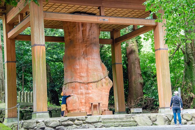 3-Day Experience to Feel the Nature of Aso - Viator Help Center for Inquiries