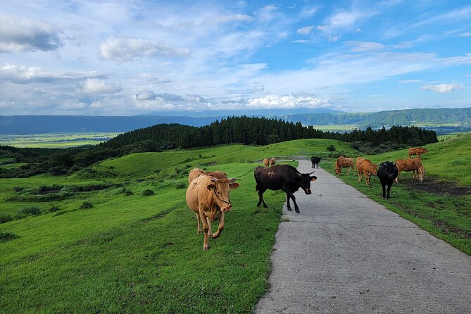 3 Days in Aso to Experience the Nature and Peoples Lives of the Active Volcano - Viator Booking Details