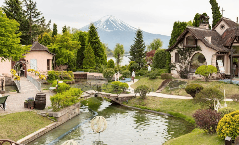 From Tokyo: Mount Fuji Full-Day Private Customized Tour - Customization Options