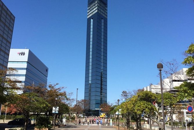 Fukuoka Walking and Public Transport Tour - Additional Details