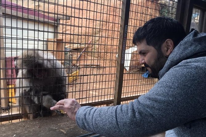 Full-Day Private Guided Tour in Kyoto, Arashiyama - Guide Expertise