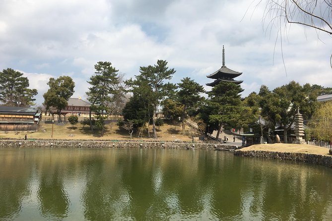 Full-Day Private Guided Tour to Nara Temples - Conclusion