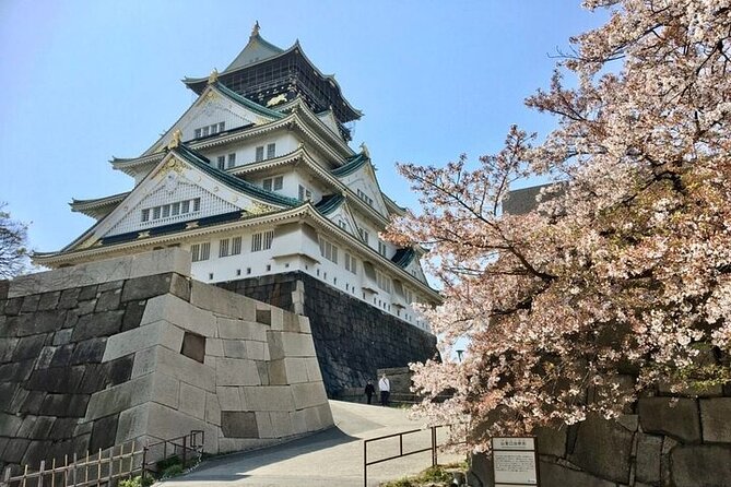 Full-Day Private Guided Tour to Osaka Castle - Private Tour Benefits