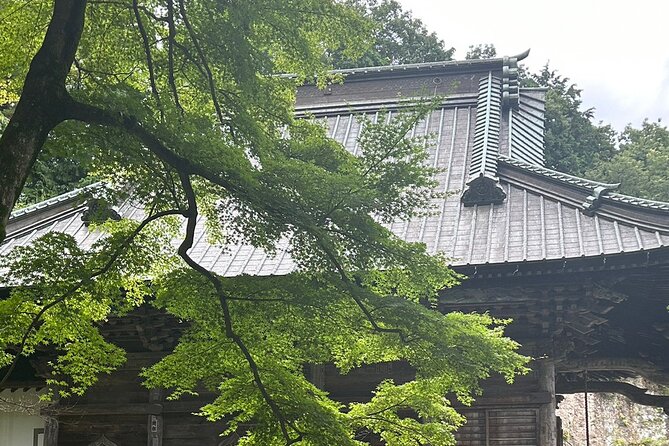 Full-Day Private Tokyo Countryside Tour - Common questions