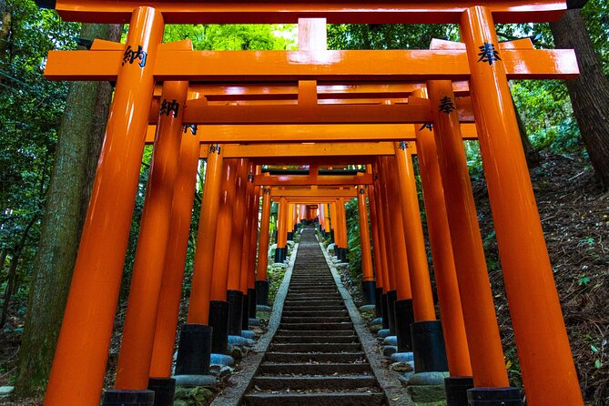 Fushimi Inari Mountain Hiking Tour With a Local Guide - Fitness Requirements