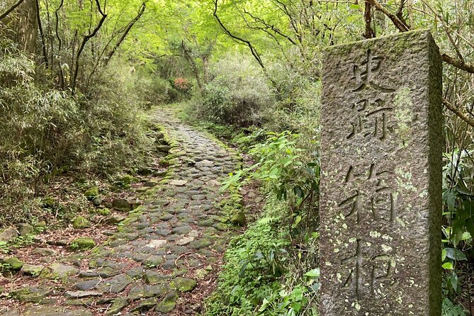 Hakone Old Tokaido Road and Volcano Half-Day Hiking Tour - Cancellation Policy