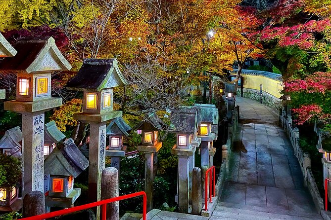 Hidden Gems of Osaka Kyoto Nara - Private Car Tour by Local Guide - Itinerary Overview