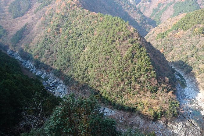 Iya Valley BROMPTON Bicycle Tour - Customer Reviews