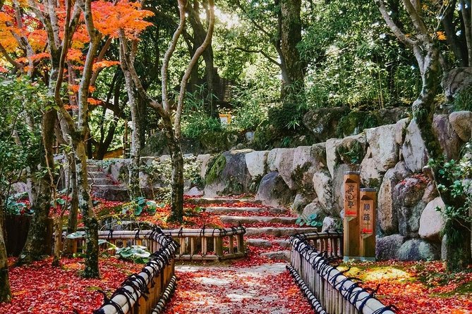 Kobe Custom Full Day Tour - Customization Options and Features